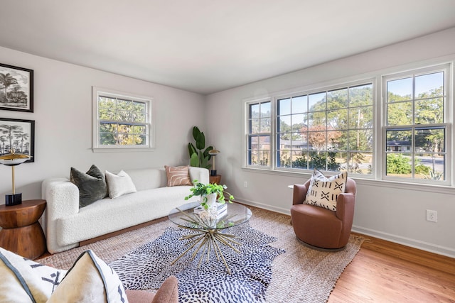 living room with light hardwood / wood-style floors and plenty of natural light