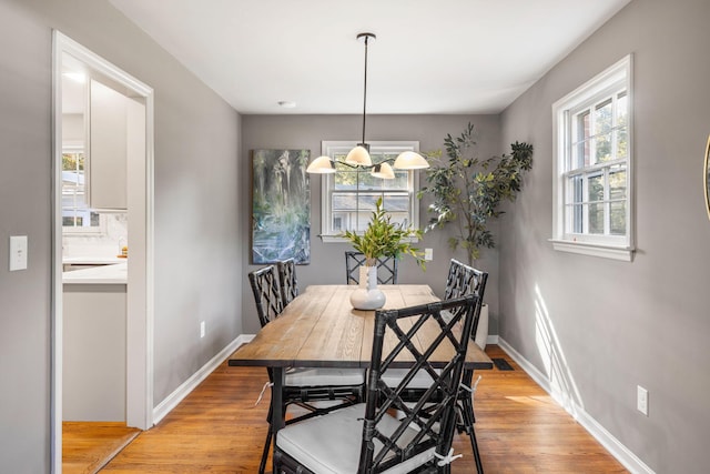 dining room with light hardwood / wood-style floors