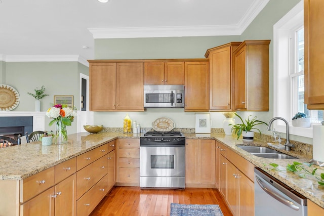 kitchen featuring light wood-type flooring, sink, crown molding, and stainless steel appliances