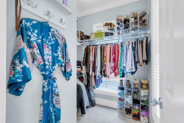 walk in closet featuring carpet