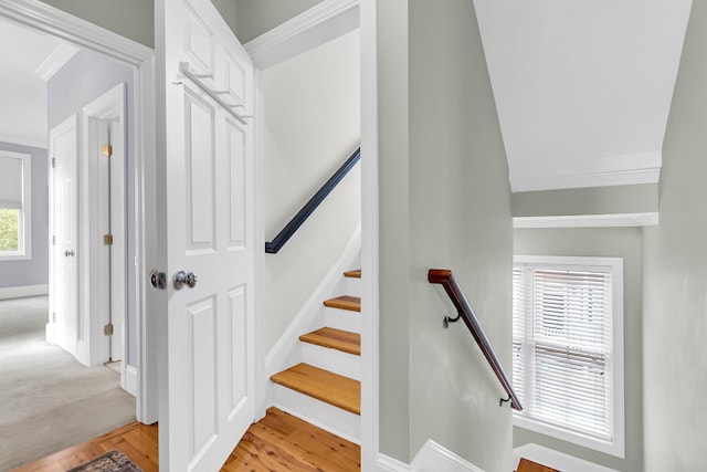 stairs with wood-type flooring, a healthy amount of sunlight, and ornamental molding