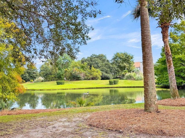 view of water feature