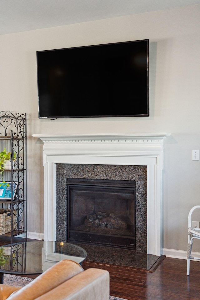 details featuring a high end fireplace and wood-type flooring