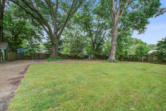 2135 Clayton St, Charleston, SC 29414 - view of yard