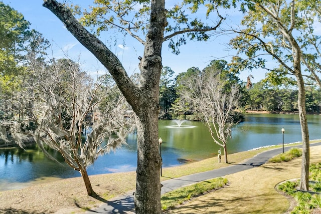 view of water feature