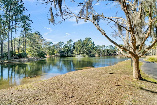 property view of water