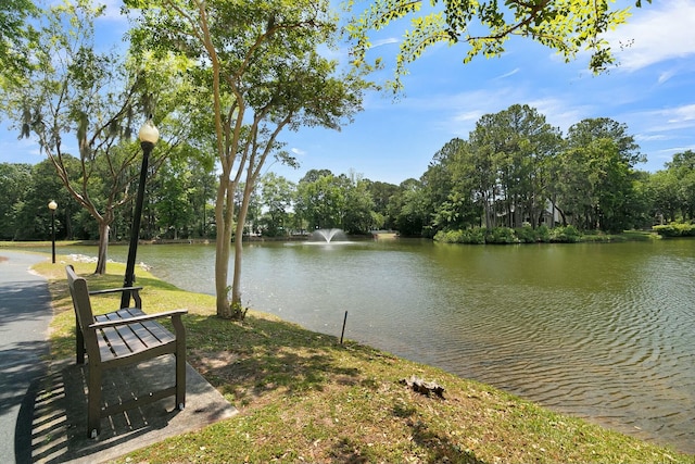 property view of water