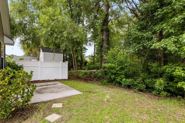 view of yard featuring a patio