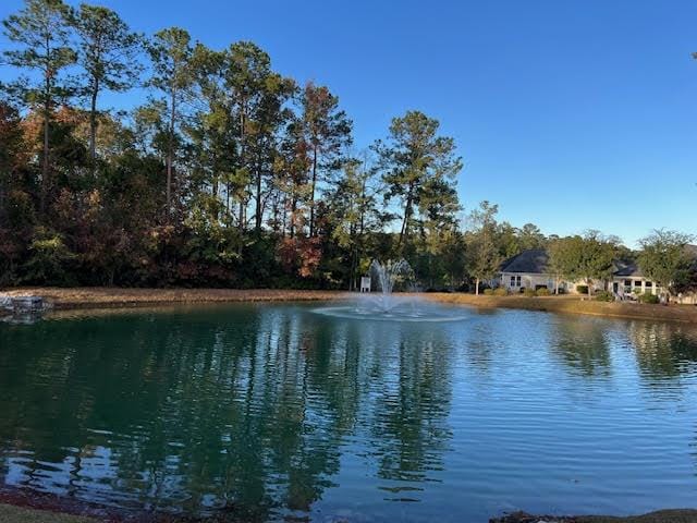 220 Brutus Ln, Summerville, SC 29485 - water view