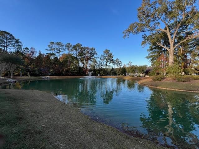 220 Brutus Ln, Summerville, SC 29485 - water view