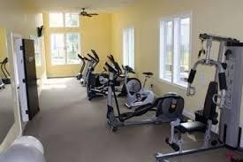 220 Brutus Ln, Summerville, SC 29485 - gym with plenty of natural light and carpet floors