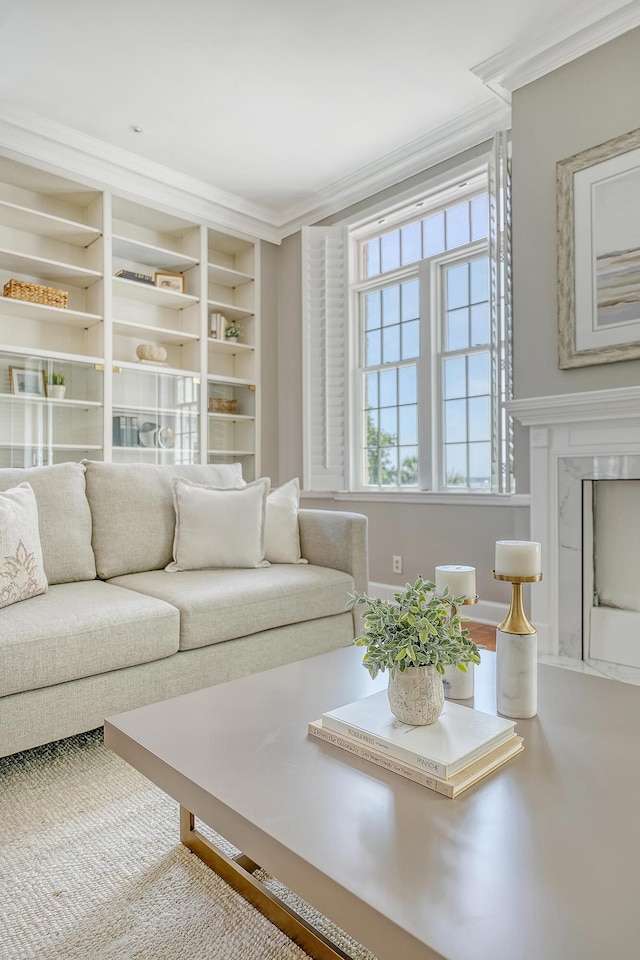 1 King Street 209 & 210, Charleston, SC 29401 - living area with crown molding, a high end fireplace, and built in features