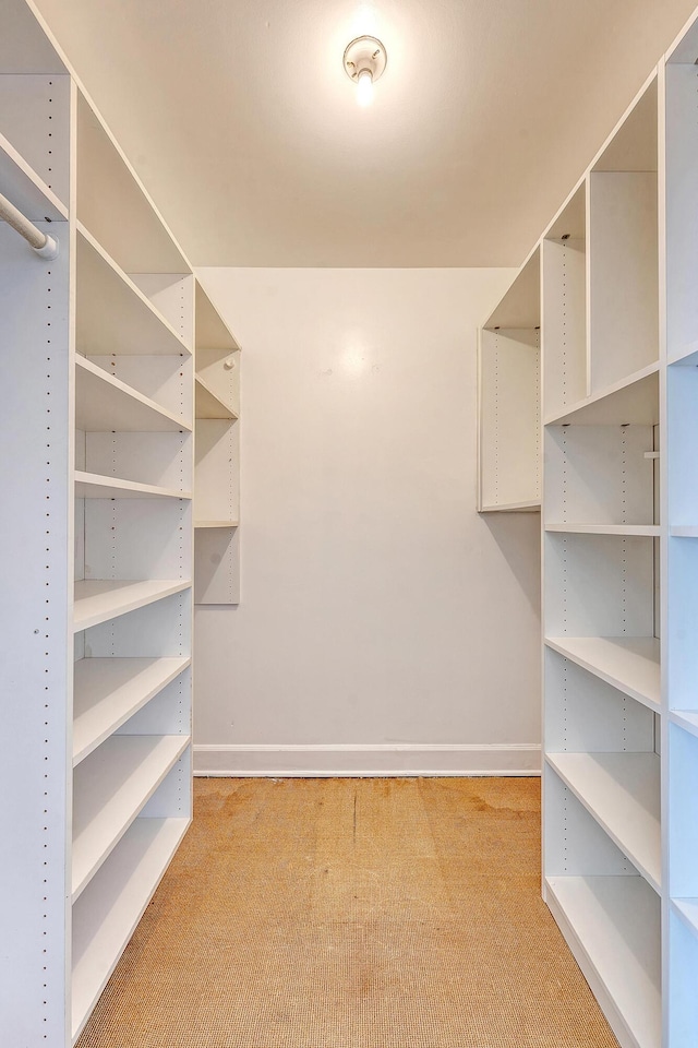 1 King Street 209 & 210, Charleston, SC 29401 - walk in closet featuring light colored carpet