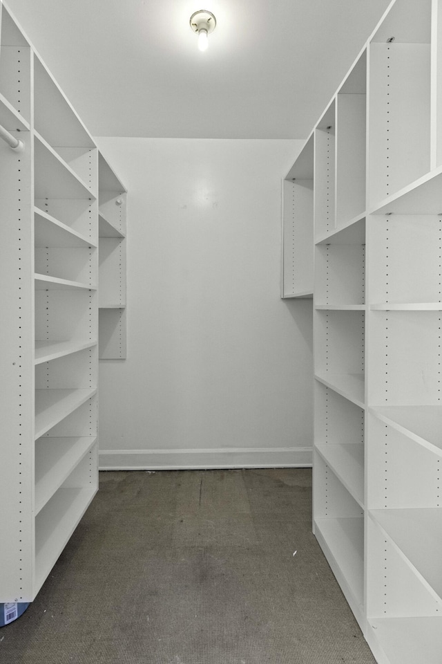 1 King Street 209 & 210, Charleston, SC 29401 - walk in closet featuring dark colored carpet