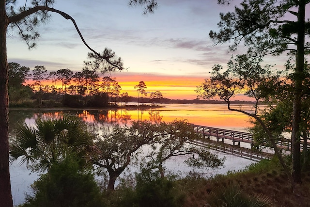 79 Trailing Vine Way, Kiawah Island, SC 29455 - water view