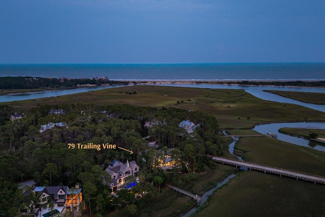 79 Trailing Vine Way, Kiawah Island, SC 29455 - view of property location featuring a large body of water