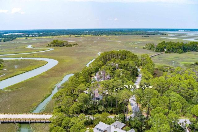 79 Trailing Vine Way, Kiawah Island, SC 29455 - aerial view of property's location featuring a nearby body of water and a golf club