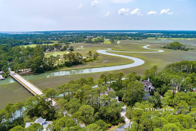 79 Trailing Vine Way, Kiawah Island, SC 29455 - aerial view of property's location featuring a large body of water and a tree filled landscape