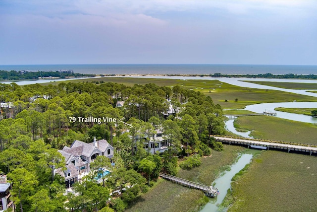 79 Trailing Vine Way, Kiawah Island, SC 29455 - bird's eye view of a nearby body of water
