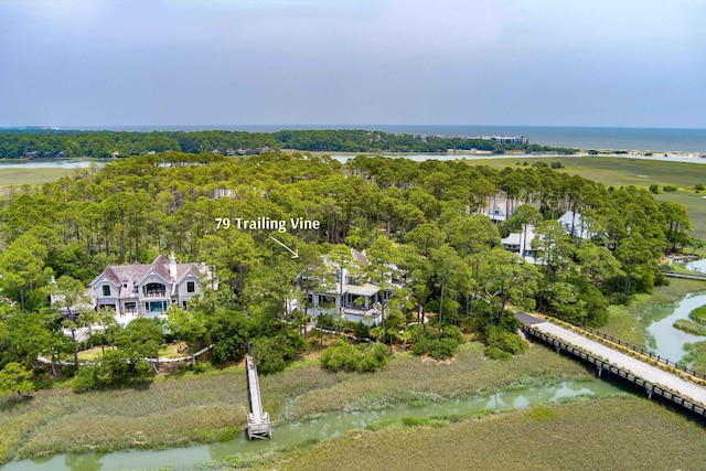 79 Trailing Vine Way, Kiawah Island, SC 29455 - bird's eye view of a nearby body of water