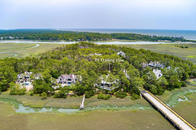 79 Trailing Vine Way, Kiawah Island, SC 29455 - aerial overview of property's location with a large body of water