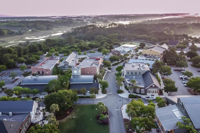 79 Trailing Vine Way, Kiawah Island, SC 29455 - aerial view of residential area