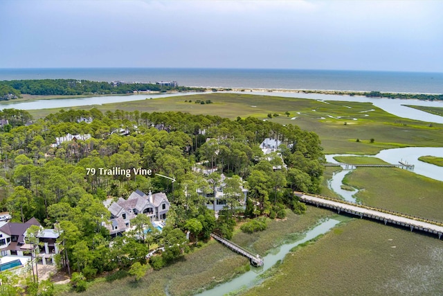 79 Trailing Vine Way, Kiawah Island, SC 29455 - aerial view of property's location featuring a large body of water and a golf course