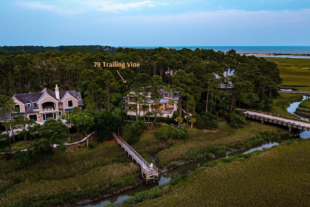 79 Trailing Vine Way, Kiawah Island, SC 29455 - aerial view of property and surrounding area featuring a nearby body of water and a forest
