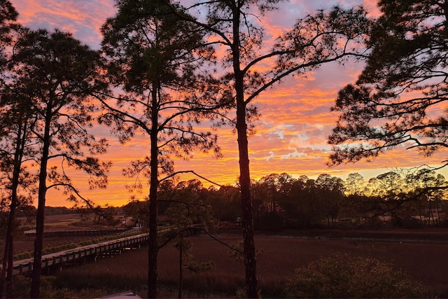 79 Trailing Vine Way, Kiawah Island, SC 29455 - water view