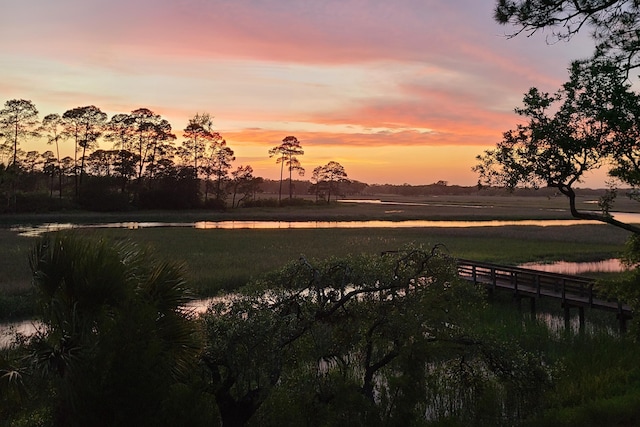 79 Trailing Vine Way, Kiawah Island, SC 29455 - water view