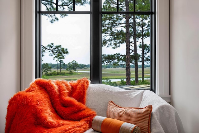 79 Trailing Vine Way, Kiawah Island, SC 29455 - view of living area