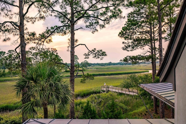 79 Trailing Vine Way, Kiawah Island, SC 29455 - view of yard at dusk