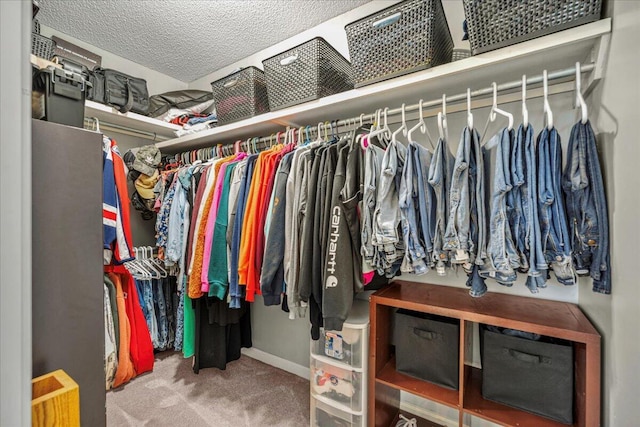 walk in closet with carpet floors