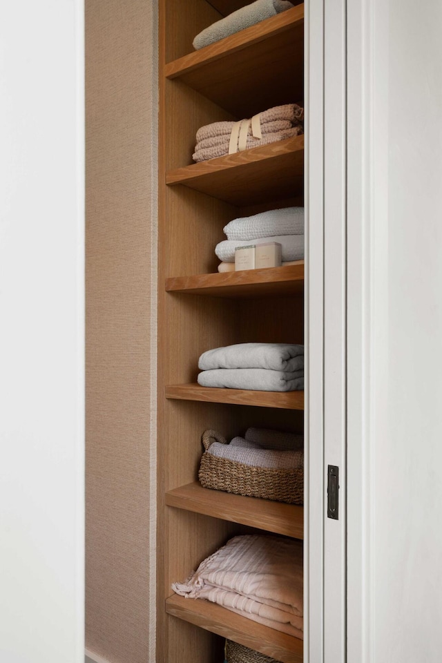 926 Pitt St, Mount Pleasant, SC 29464 - view of closet