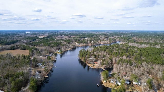 drone / aerial view featuring a forest view and a water view