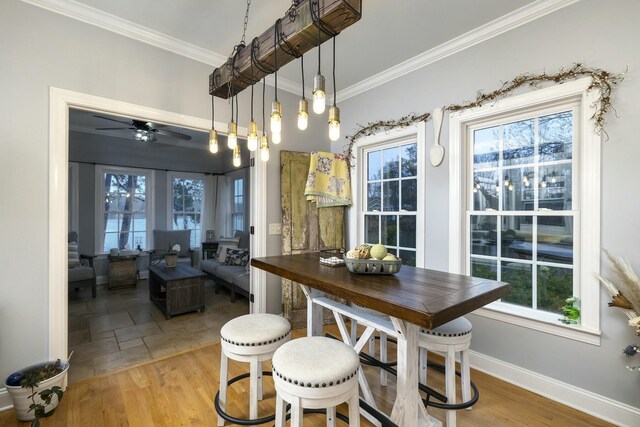 dining room with crown molding and a healthy amount of sunlight