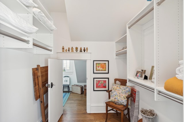 371 Bridgetown Pass, Mount Pleasant, SC 29464 - spacious closet with wood finished floors