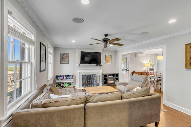 living area featuring a healthy amount of sunlight, crown molding, a fireplace, and wood finished floors