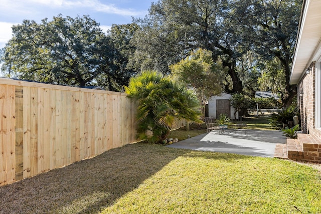 view of yard with a patio and a storage shed