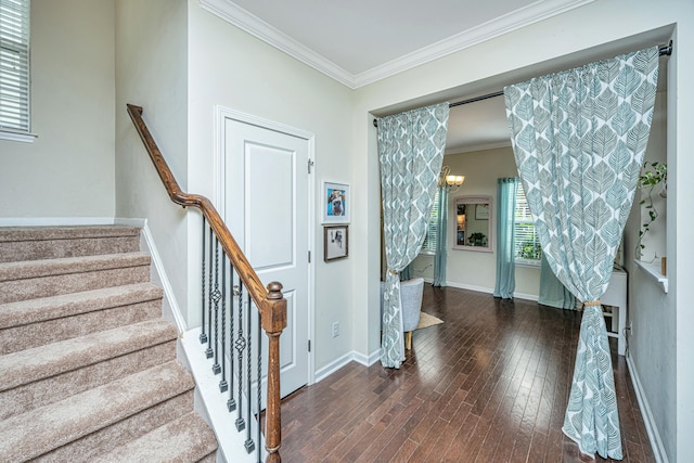 foyer entrance featuring dark hardwood / wood-style flooring, ornamental molding, and an inviting chandelier