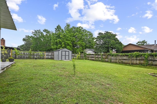 view of yard with a storage shed and an outdoor structure