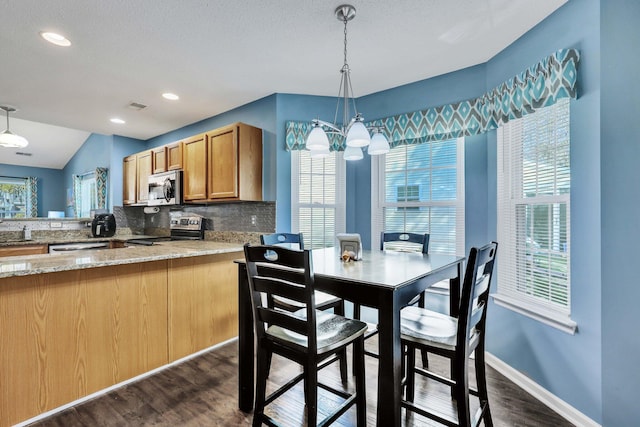 kitchen with appliances with stainless steel finishes, tasteful backsplash, dark hardwood / wood-style flooring, decorative light fixtures, and kitchen peninsula