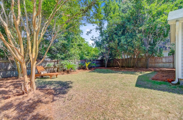 2404 Fulford Ct, Mount Pleasant, SC 29466 - view of fenced backyard