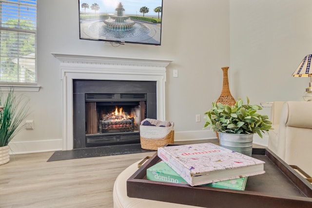 2404 Fulford Ct, Mount Pleasant, SC 29466 - detailed view of a fireplace with flush hearth and wood finished floors