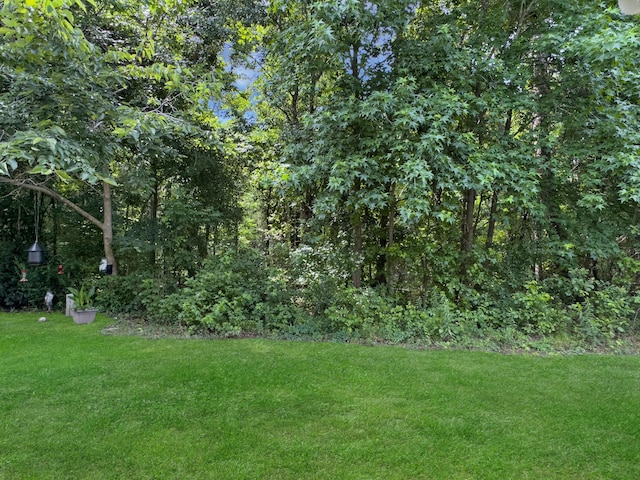 1069 Lexi Ct, Ladson, SC 29456 - view of green lawn
