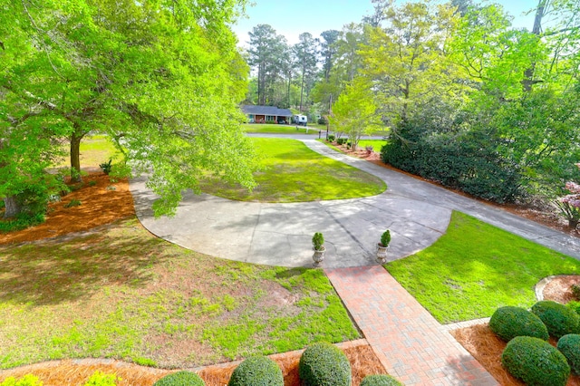 view of community with a lawn