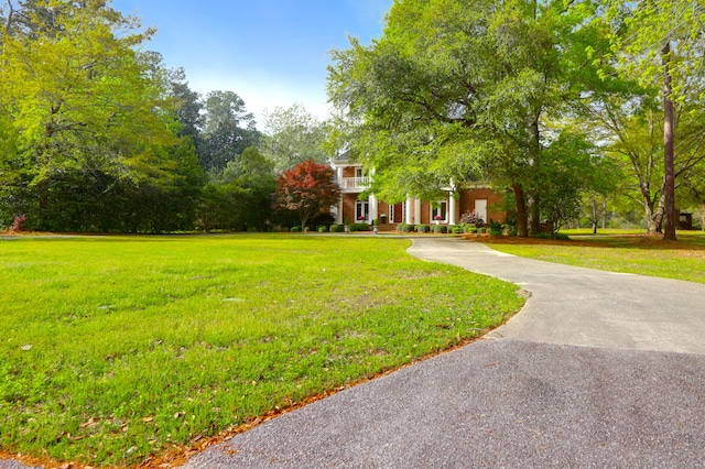 view of front of home with a front yard and curved driveway