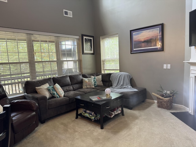 101 Cobblers Glen Ct, Lexington, SC 29072 - living room featuring a high ceiling, visible vents, baseboards, and carpet
