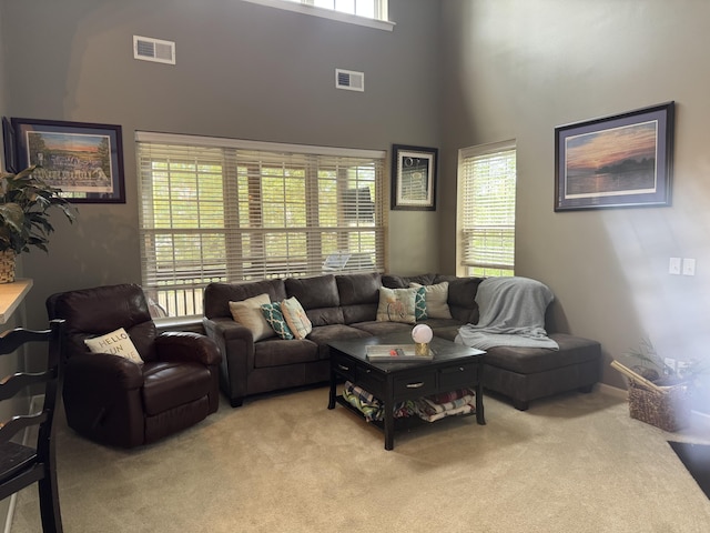 101 Cobblers Glen Ct, Lexington, SC 29072 - living room with visible vents, carpet flooring, and a high ceiling