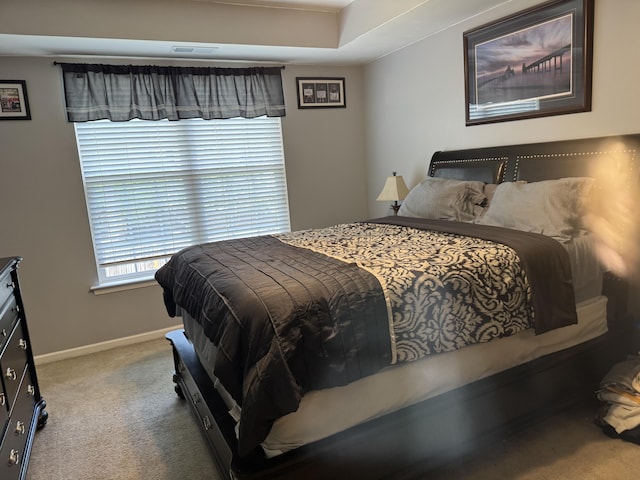 101 Cobblers Glen Ct, Lexington, SC 29072 - bedroom featuring baseboards, carpet flooring, and visible vents